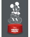 MICKEY - Lampe 3D RGB avec Télécommande - vue principale