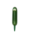 RICK & MORTY - Mr Pickles - Stylo 3D - vue principale