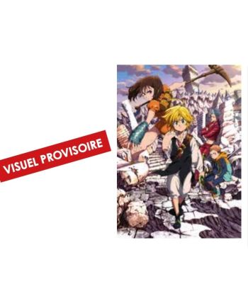 SEVEN DEADLY SINS - Poster + Puzzle 1000pcs - vue principale