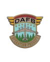 CA BIENVENUE A DERRY - DAFB - Pin's Edition Limitée - vue principale