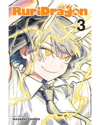 RURIDRAGON - Tome 3 - vue principale