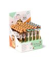CAPYBARA - Stylo à Gel Effaçable (Display de 36pcs) - vue principale
