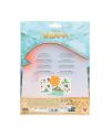 VAIANA - Set de Magnets - vue du packaging