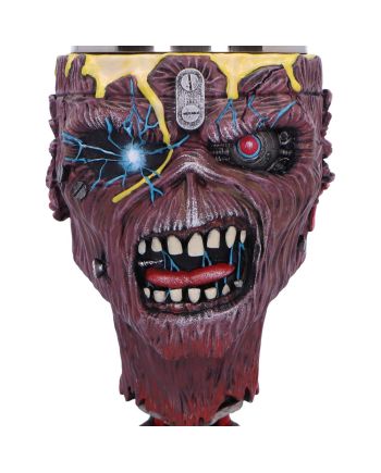 IRON MAIDEN - Can i play with Madness - Goblet - vue de detail