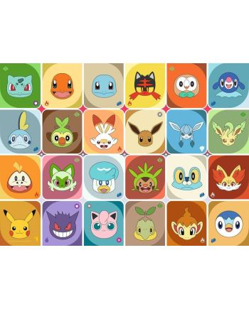POKEMON - Portraits de Pokémon - Puzzle 100P - vue de face