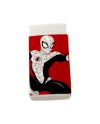 SPIDER-MAN - Set de Papeterie - 5pc. - vue de dos