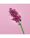 FOREVER FLOWERS - Bricks Flowers - Display 12pcs - vue de profil