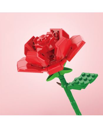 FOREVER FLOWERS - Bricks Flowers - Display 12pcs - vue du packaging