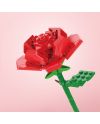 FOREVER FLOWERS - Bricks Flowers - Display 12pcs - vue du packaging