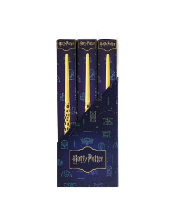 HARRY POTTER - Présentoir 12 Baguettes Role Play - vue de profil