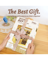 BOOK NOOK KIT - DIY- Librairie Culinaire - 156pc + Eclairage LED - vue du packaging