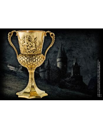 HARRY POTTER - La Coupe de Helga Poufsouffle - vue de face
