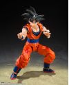 Détail du visage et du sculpt de la figurine Son Goku S.H. Figuarts