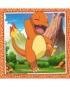 POKEMON - Salamèche, Bulbizarre et Carapuce - 3 Puzzle 49P - vue de face