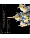 30MF - Liber Holy Knight - Model Kit - vue du packaging