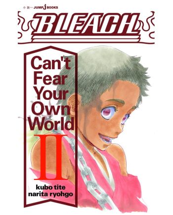 BLEACH - Can't Fear Your Own World - Roman - Tome 2 - vue principale