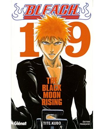 BLEACH - Tome 19 - vue principale