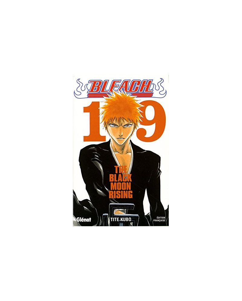 BLEACH - Tome 19 - vue principale