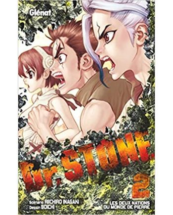 DR STONE - Tome 2 - vue principale