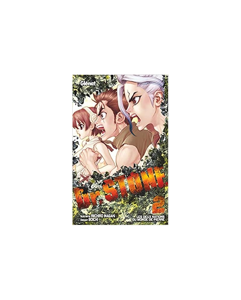 DR STONE - Tome 2 - vue principale