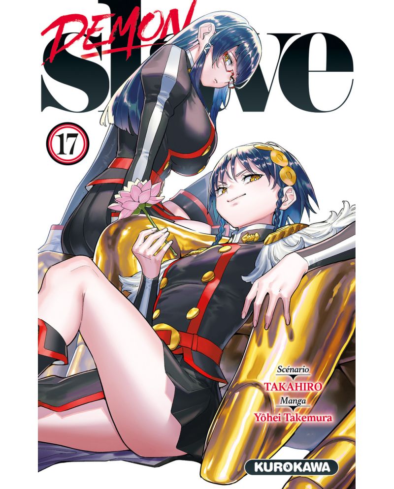 Demon Slave - Tome 17 - vue principale
