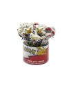 Display de 36 crayons Pokémon Pikachu et Pokéball avec gomme topper