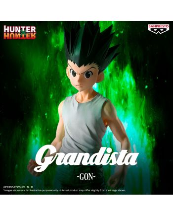 Hunter X Hunter - Gon Freecss Grandista