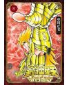 SAINT SEIYA - Final Edition - Tome 8 - vue principale