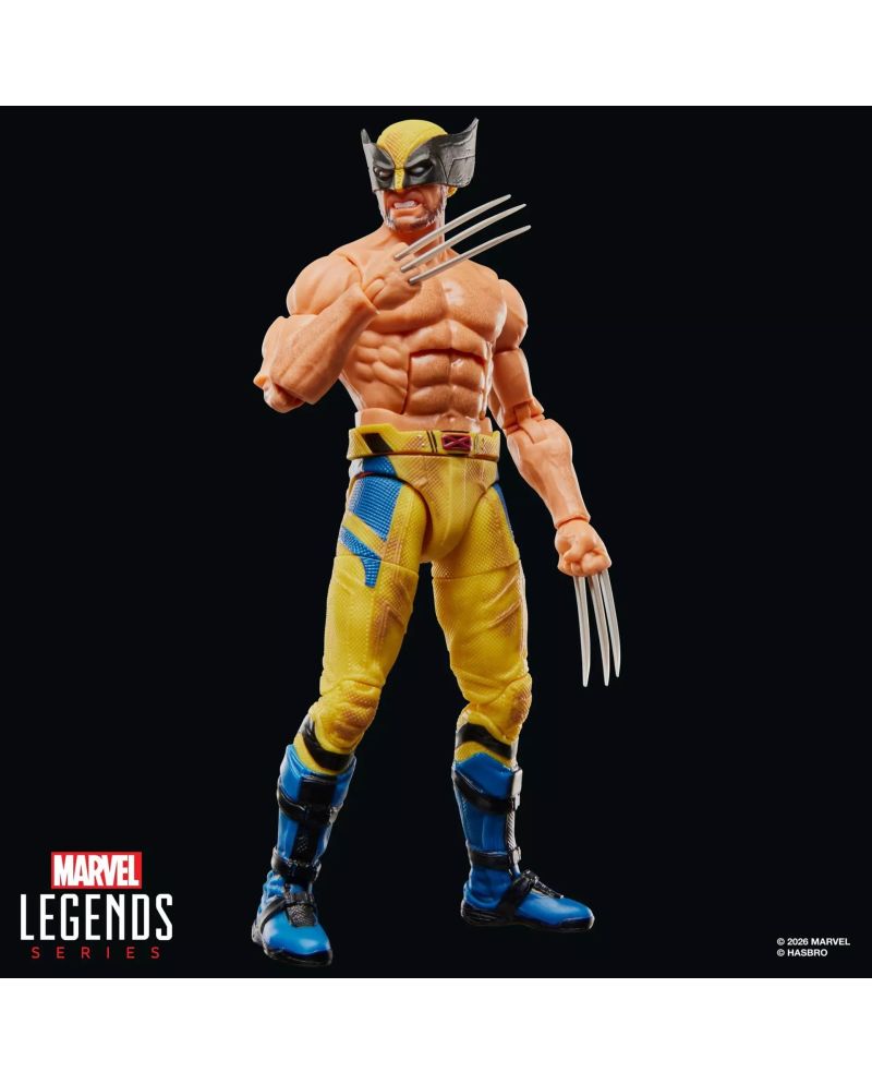 DEADPOOL & WOLVERINE - Wolverine - Figurine Legends Series 15cm - vue principale