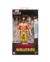 DEADPOOL & WOLVERINE - Wolverine - Figurine Legends Series 15cm - vue de face