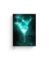HARRY POTTER - Patronus - Notebook Lenticulaire - Format A5 - vue principale