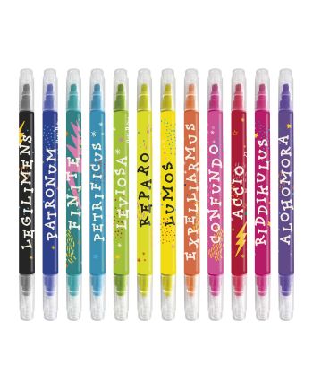 Lot de 12 marqueurs effaçables Harry Potter