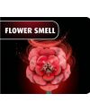 FLEURS EN BOIS - Rêve des Roses - 326pc - vue de profil