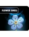 FLEURS EN BOIS - Festival des fleurs - 360pc - vue de face