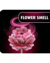 FLEURS EN BOIS - Jardin Fleuri - 181pc - vue de profil