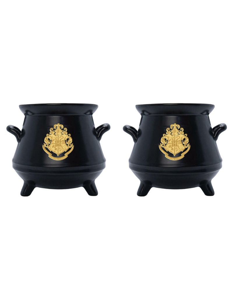 Moulin sel et poivre en forme de chaudron Harry Potter