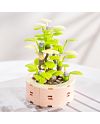 FOREVER FLOWERS Bricks Succulent - détail des blocs de construction
