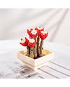FOREVER FLOWERS Bricks Succulent - vue d'ensemble du display