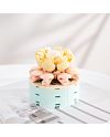 FOREVER FLOWERS Bricks Succulent - modèle succulente en briques