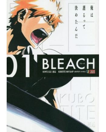 BLEACH Tome 1 Perfect Edition - couverture manga Glénat