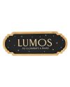Décoration murale Harry Potter Lumos officielle