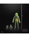 STAR WARS - Mon Calamari (Halloween) - Figurine Black Series 15cm - vue du packaging