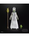 STAR WARS - Togruta (Halloween) - Figurine Black Series 15cm - vue du packaging