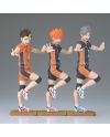 HAIKYU!! - Shoyo Hinata - Figurine 14cm - vue du packaging