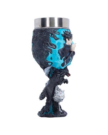 JUJUTSU KAISEN - Megumi Fushiguro - Goblet 19.7cm - vue de dos
