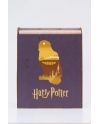 HARRY POTTER - BOOK NOOK KIT -Poudlard Express - 238pc + Eclairage LED - vue du packaging
