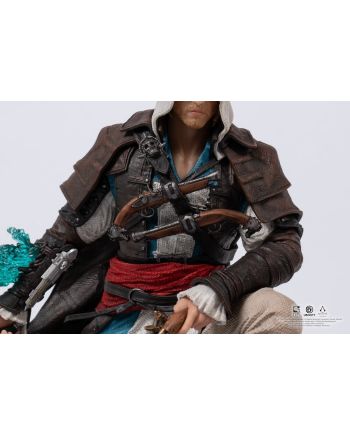 ASSASSIN'S CREED BLACK FLAG - Edward - Statuette Animus 1/8 27cm - vue du packaging