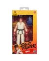 STREET FIGHTER - Ryu - Figurine 15cm - vue de dos