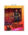 STREET FIGHTER - Akuma - Figurine 15cm - vue de dos