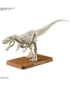 DINOSAUR - New Dinosaur Plastic Tyrannosaurus (Tentative) - Model Kit - vue de profil